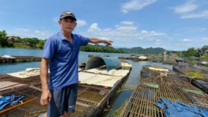 Cá lồng sông Son mang về gần 50 tỷ đồng mỗi năm, trở thành đặc sản vùng di sản Phong Nha, góp phần nâng cao thu nhập cho người dân.