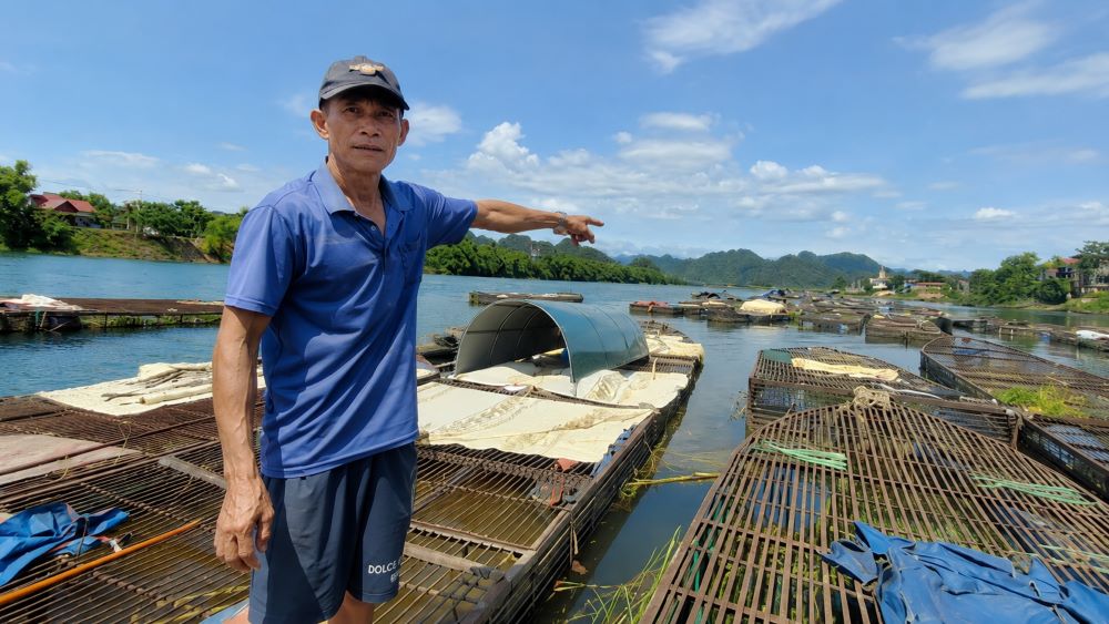 Cá lồng sông Son mang về gần 50 tỷ đồng mỗi năm, trở thành đặc sản vùng di sản Phong Nha, góp phần nâng cao thu nhập cho người dân.