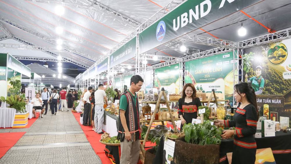 Phiên chợ sâm Ngọc Linh bên Cầu Rồng thu hút đông du khách đến tham quan, mua sắm nhiều sản phẩm dược liệu giá trị.