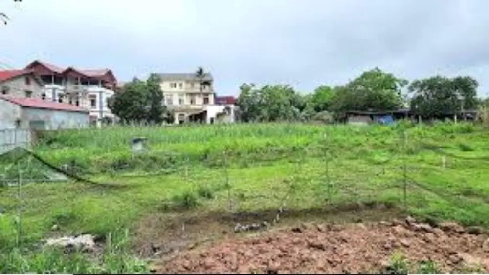 Em trai đứng tên sổ đỏ hơn 20 năm vẫn bị anh chị khởi kiện yêu cầu chia đất thừa kế. Vụ tranh chấp kéo dài gây nhiều tranh cãi.