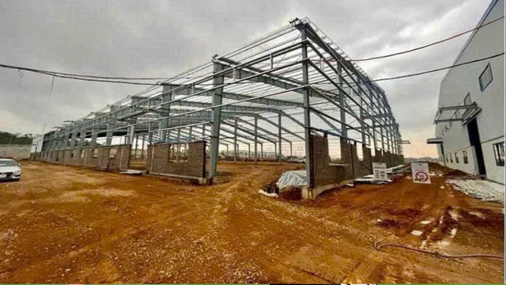 Khởi tố giám đốc công ty vì vi phạm quy định về an toàn lao động sau vụ tai nạn nghiêm trọng gây hậu quả chết người.