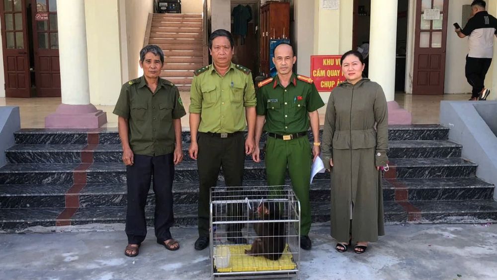 Người dân Hải Phòng tự nguyện giao nộp nhiều động vật quý hiếm cho cơ quan chức năng, góp phần bảo vệ động vật hoang dã.